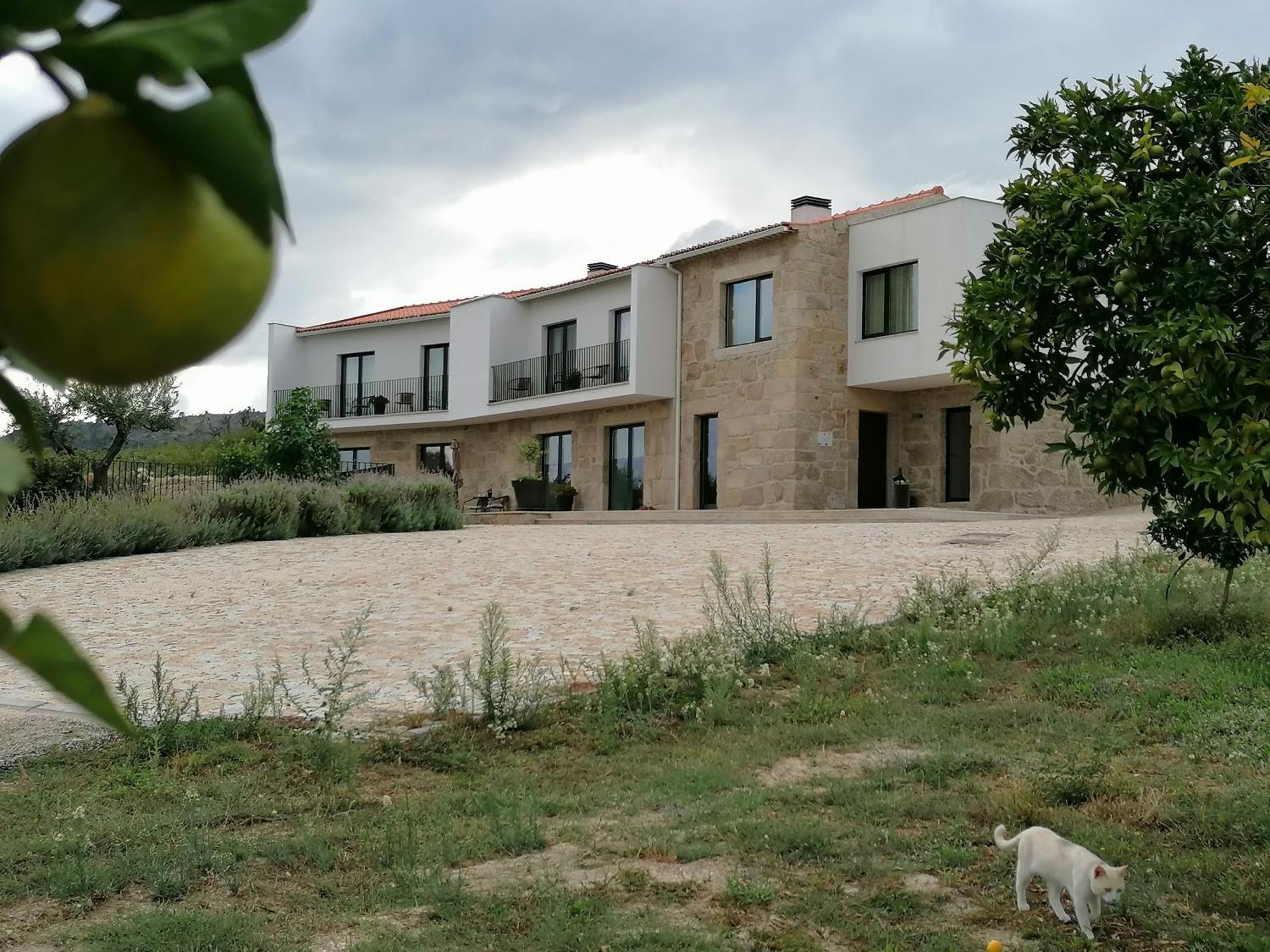 קאסטלו נובו Carvalhal Redondo - Farm House מראה חיצוני תמונה